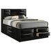 Briana Bookcase Platform Storage Bed - Home Furniture And More (Brentwood, MD)