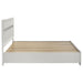 Miranda Panel Platform Storage Bed - Home Furniture And More (Brentwood, MD)