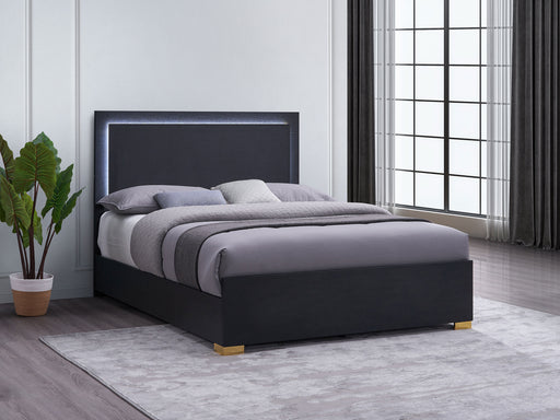 Marceline Panel Bed with LED Lighting - Home Furniture And More (Brentwood, MD)