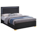 Marceline Panel Bed with LED Lighting - Home Furniture And More (Brentwood, MD)
