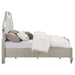 Evangeline Panel Bed with LED Lighting - Home Furniture And More (Brentwood, MD)