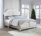 Evangeline Panel Bed with LED Lighting - Home Furniture And More (Brentwood, MD)