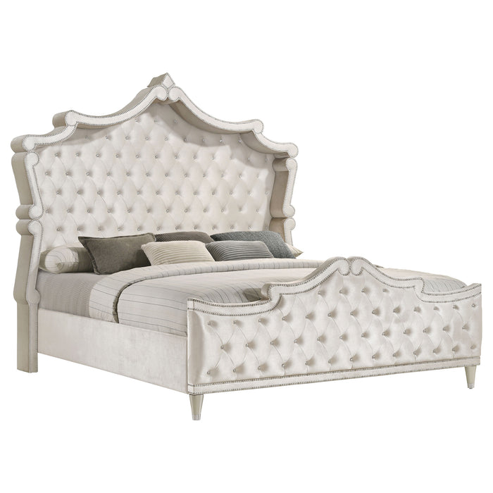 Antonella Bedroom Set - Home Furniture And More (Brentwood, MD)