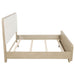 Ladera Panel Bed - Home Furniture And More (Brentwood, MD)
