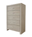 Crown Mark Furniture Jaylen 5 Drawer Chest in Gray image