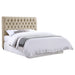 Chloe Full Headboard - Home Furniture And More (Brentwood, MD)