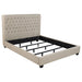 Chloe Panel Bed - Home Furniture And More (Brentwood, MD)