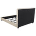 Chloe Panel Bed - Home Furniture And More (Brentwood, MD)