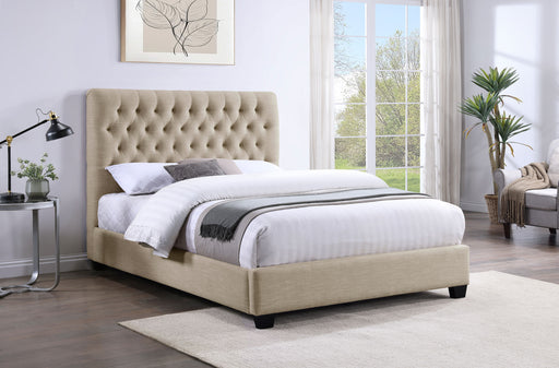 Chloe Panel Bed - Home Furniture And More (Brentwood, MD)