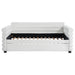 Patricia Daybed with Trundle - Home Furniture And More (Brentwood, MD)