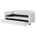 Patricia Daybed with Trundle - Home Furniture And More (Brentwood, MD)