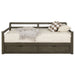 Sorrento Extension Daybed with Drawers - Home Furniture And More (Brentwood, MD)