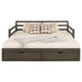 Sorrento Extension Daybed with Drawers - Home Furniture And More (Brentwood, MD)