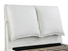 Gwendoline Panel Platform Bed - Home Furniture And More (Brentwood, MD)