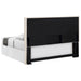 Izzy Queen Headboard - Home Furniture And More (Brentwood, MD)