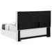 Kosmo Queen Headboard - Home Furniture And More (Brentwood, MD)