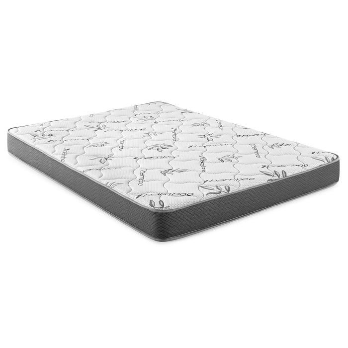 Kenyon Firm Tight Top Foam Mattress - Home Furniture And More (Brentwood, MD)