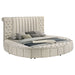 Sonya Panel Floor Storage Bed - Home Furniture And More (Brentwood, MD)