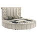 Sonya Panel Floor Storage Bed - Home Furniture And More (Brentwood, MD)