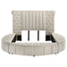 Sonya Panel Floor Storage Bed - Home Furniture And More (Brentwood, MD)
