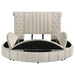 Sonya Panel Floor Storage Bed - Home Furniture And More (Brentwood, MD)