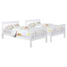 Chapman Bunk Bed - Home Furniture And More (Brentwood, MD)