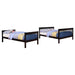 Chapman Bunk Bed - Home Furniture And More (Brentwood, MD)