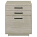 Loomis File Cabinet - Home Furniture And More (Brentwood, MD)