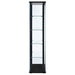 Delphinium Curio Cabinet - Home Furniture And More (Brentwood, MD)