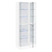 Cabra Curio Cabinet with LED Lighting - Home Furniture And More (Brentwood, MD)