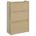 Denia Shoe Cabinet - Home Furniture And More (Brentwood, MD)