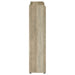 Denia Shoe Cabinet - Home Furniture And More (Brentwood, MD)