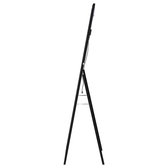 Windrose Standing Mirror with LED Lighting - Home Furniture And More (Brentwood, MD)