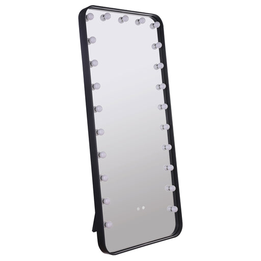 Canton Standing Mirror with LED Lighting and Bluetooth Speaker - Home Furniture And More (Brentwood, MD)