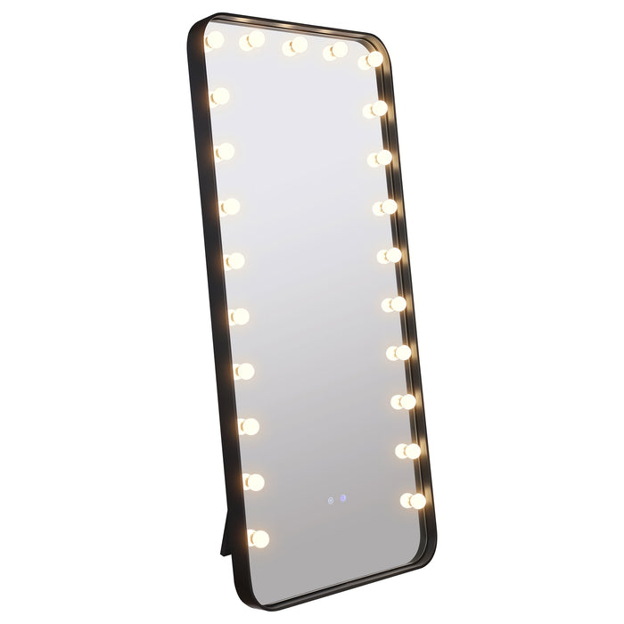 Canton Standing Mirror with LED Lighting and Bluetooth Speaker - Home Furniture And More (Brentwood, MD)