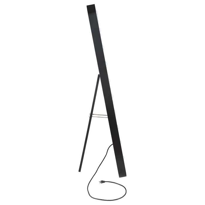 Canton Standing Mirror with LED Lighting and Bluetooth Speaker - Home Furniture And More (Brentwood, MD)