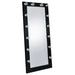 Zayan Floor Mirror with LED Lighting - Home Furniture And More (Brentwood, MD)