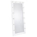 Zayan Floor Mirror with LED Lighting - Home Furniture And More (Brentwood, MD)