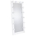 Zayan Floor Mirror with LED Lighting - Home Furniture And More (Brentwood, MD)