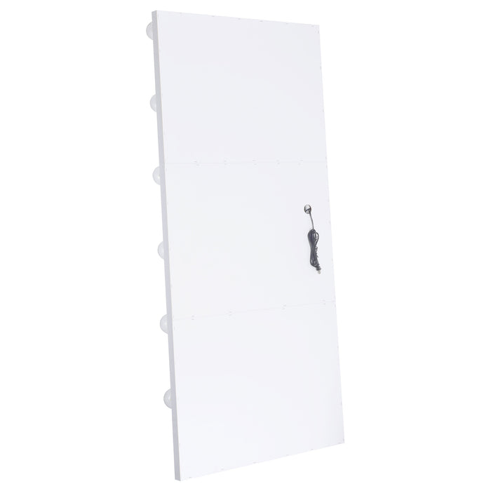 Zayan Floor Mirror with LED Lighting - Home Furniture And More (Brentwood, MD)