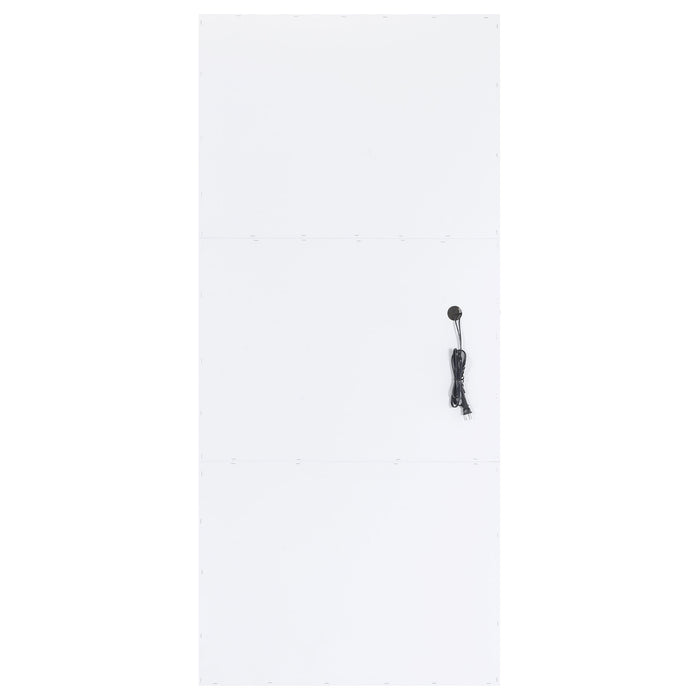 Zayan Floor Mirror with LED Lighting - Home Furniture And More (Brentwood, MD)
