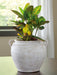 Meadie Vase - Home Furniture And More (Brentwood, MD)