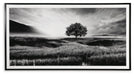 Deborland Wall Art - Home Furniture And More (Brentwood, MD)