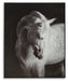 Archerwick Wall Art - Home Furniture And More (Brentwood, MD)