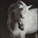 Archerwick Wall Art - Home Furniture And More (Brentwood, MD)