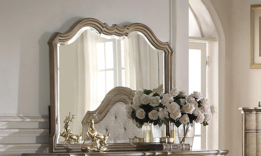 Acme Chelmsford Landscape Mirror in Antique Taupe 26054 - Home Furniture And More (Brentwood, MD)