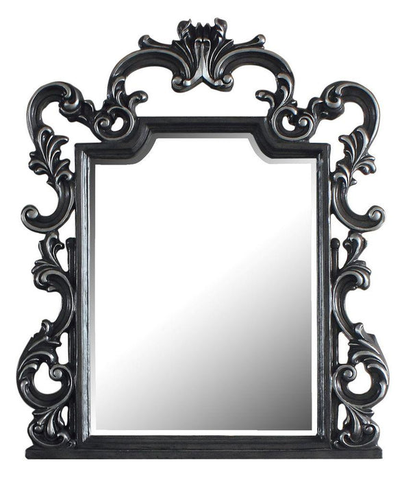 Acme Furniture House Delphine Mirror in Charcoal 28834 - Home Furniture And More (Brentwood, MD)