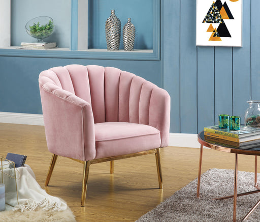 Colla Blush Pink Velvet & Gold Accent Chair - Home Furniture And More (Brentwood, MD)