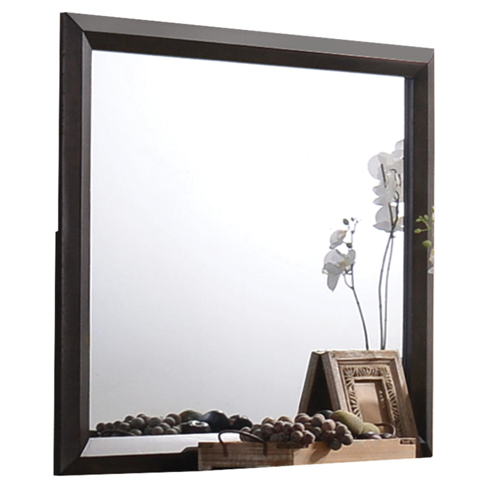 Merveille Espresso Mirror - Home Furniture And More (Brentwood, MD)