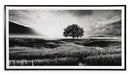 Deborland Wall Art - Home Furniture And More (Brentwood, MD)